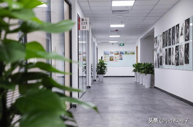 高考美术培训班排名,教你怎么选高考美术培训班?