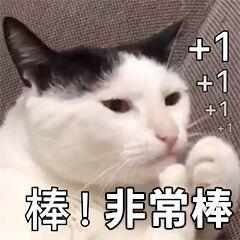 考研需要知道的,都在这里了!