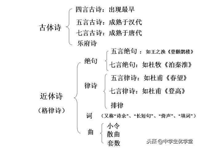 最全最详细的高考语文专题辅导资料，有了这个不用看其他资料