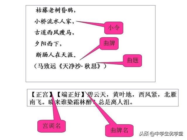 最全最详细的高考语文专题辅导资料，有了这个不用看其他资料