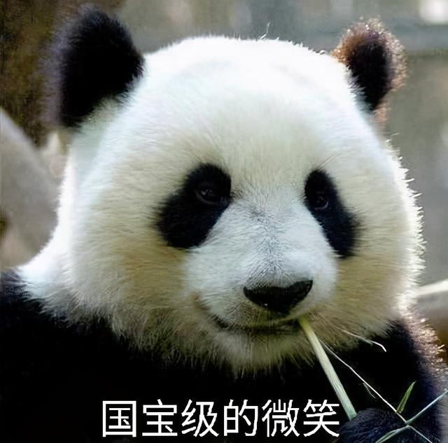 考研也内卷了?复旦热门400分排40名外,浙大还有453的