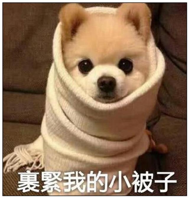 别担心!考研成绩,400分以上的人虽多,但对国家线影响并不大