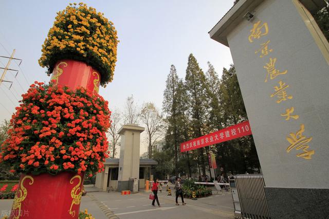 考研高性价比的院校+专业组合,考研党必备,赶紧收藏