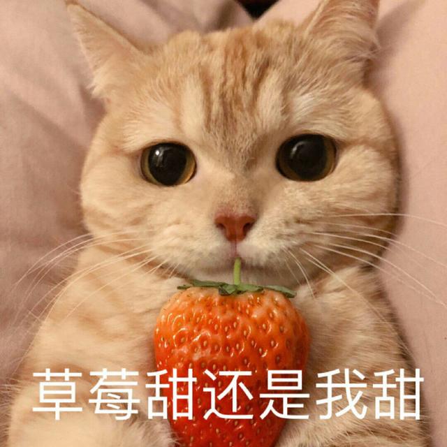 高考数学,一道“金字塔”题目就难倒一片人?全国卷真的很难?