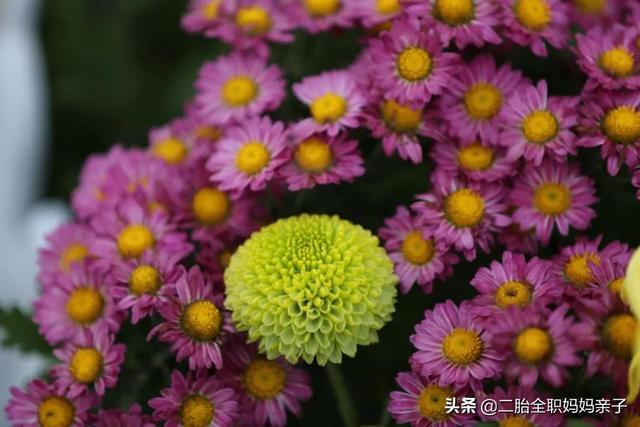 仅5%中考生上普高,学生太渣或学校太差?家长无法淡定接受事实