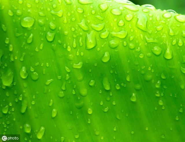 中考辅导:三步读懂徐再思的《水仙子 夜雨》,轻松答题