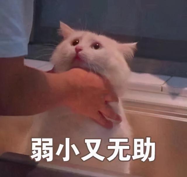 考研实际录取率将低于20%?今年的考研成绩透露出这件大事